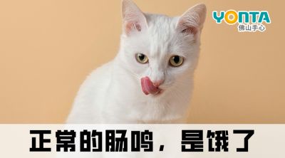 肚子總愛“咕咕叫”？除了餓，還有這4種原因！